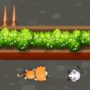 Cat Trap Labyrinth Escape 9 cat trap labyrinth escape 2