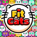 Fit Cats 8 fit cats 1