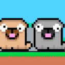 Friends Pug 7 friends pug 1