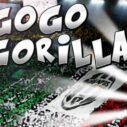 Go Go Gorilla 4 go go gorilla