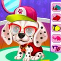 My Puppy Daycare Salon 7 my puppy daycare salon 2