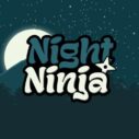 Night Ninja 6 night ninja 1