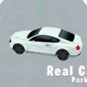 Real Car Parking 3D 5 real car parking 3d
