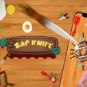 Zap knife: Knife Hit to target 2 zap knife knife hit to target